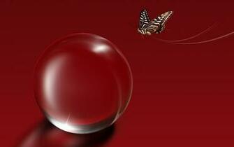 Red Butterfly Wallpaper Picture Pink Heart Border Orange