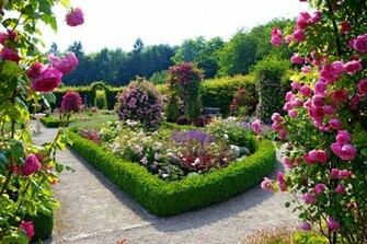 Garden Pictures For Background