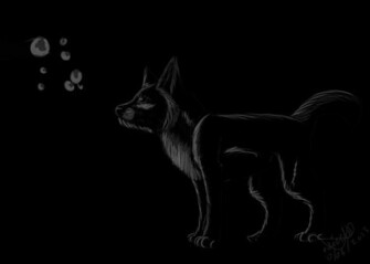 Black N White Wolf Wallpaper By Edizzle13