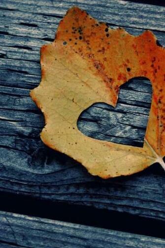 Rustic Fall Leaf Heart iPhone Wallpaper Phone