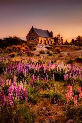 Gorgeous Cottagecore Aesthetic Wallpaper For Your iPhone