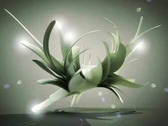 Amazing Wallpaper For Your Desktop Pixels