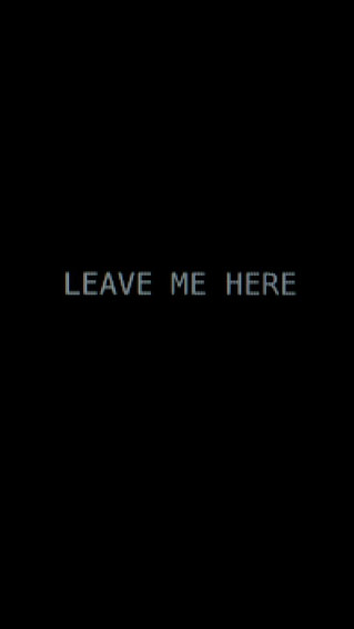 Leave Me Here Mr Robot Poster