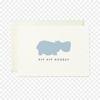 White Background Png Transparent
