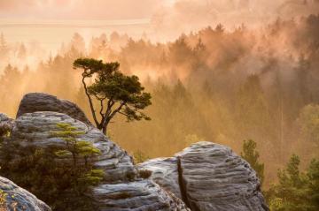 Sunrise Top Of Mountain