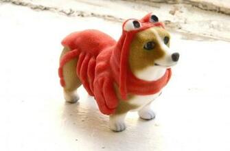 Gallery Funny Corgi Lobster
