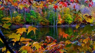 Autumn Wallpaper