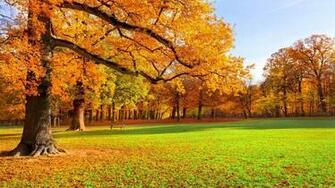 Fall Scenery Wallpaper