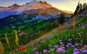 Mount Rainier