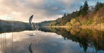Lakes Water Sunrise Sunset Sky Trees Shore Forest Fishing Sports