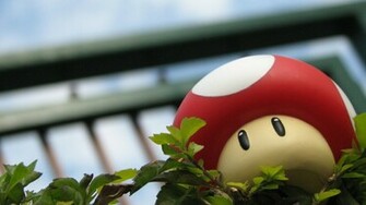 Mario Mushroom Wallpaper