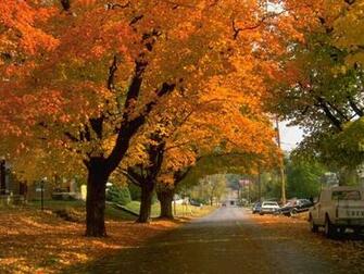 Fall Background Desktop Wallpaper HD