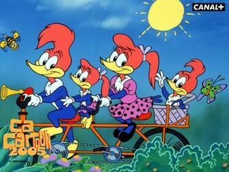 Animation Pictures Wallpaper Woody Woodpecker