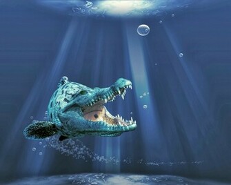 3d Wallpaper Desktop HD
