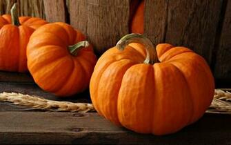 Pumpkins Wallpaper Myspace Background