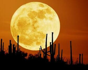 Moon Picture Of A Full Movie Wallpaper New Screensavers