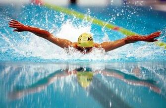 Swimming Pictures HD Wallpaper Sports