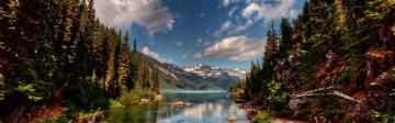 Wallpaper Water Mountains Trees Nature