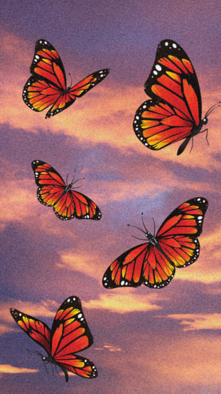 Aesthetic iPhone Wallpaper HD Net