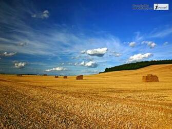HD Wallpaper Beautiful Summer Scenery Desktop