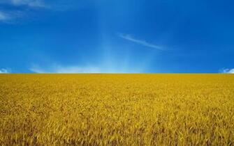 Ukraine Flag Sky HD Wallpaper