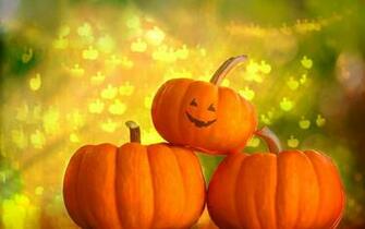 Pumkin Wallpaper Image