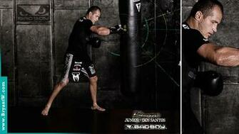 Bryant W Portfolio Site Bad Boy Clothing Wallpaper Designs