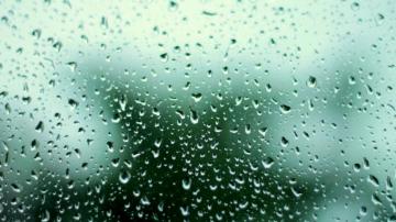 Spring Rain Wallpaper