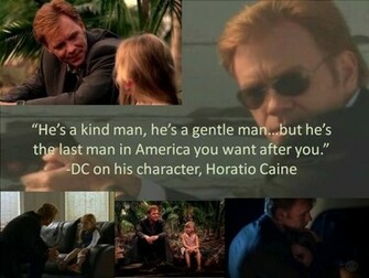 David Caruso Horatio Caine