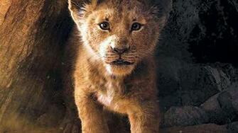 The Best And Most Disappointing Changes To Lion King