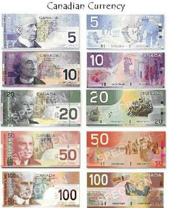 Paper Money Canadian Group Picture Image By Tag Keywordpictures