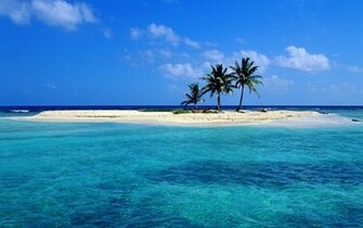 Ocean Beach Trees Sea Animals Windows Xp Skyscapes Wallpaper