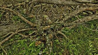 Pictures Mossy Oak Camouflage Background Myspace Layout