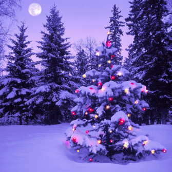 Christmas iPad Background Wallpaper