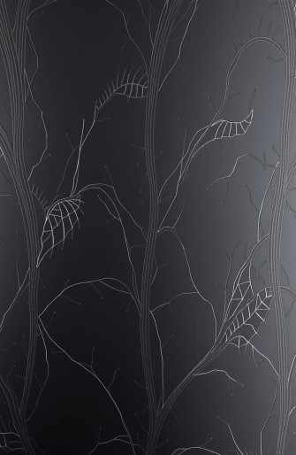 Black Wallpaper