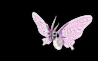 Venomoth Pokemon Fondos De Pantalla HD