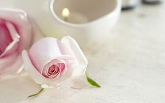 Pink Hearts And Roses Beautiful With Gift