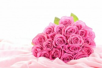 Flowers Roses Pink Bouquet Elegant Flower Buds