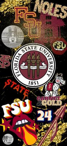 Fsu Wallpaper Florida State Seminoles Football