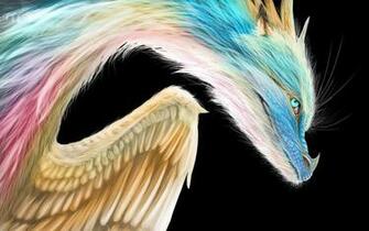Shadownightwing Im Genes Furry And Arco Iris HD Fondo De Pantalla