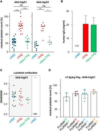Impact Of Ivig Sialylation Modulation Autoantibody Half Life