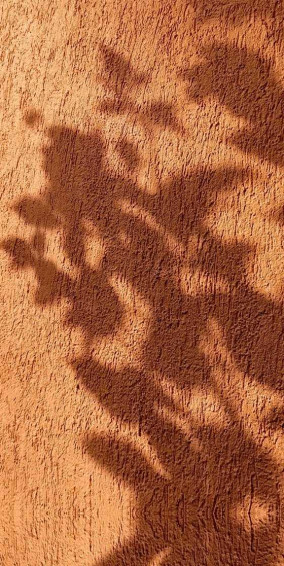 Tan Wallpaper