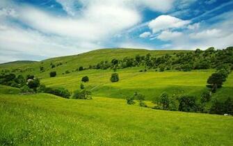 Desktop Wallpaper Green Nature Background