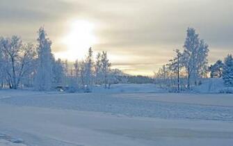 Tree Snowy Beautiful Trees Sun Sky Snow Winter Time Sunrise Bea