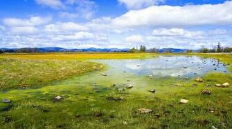 Clear Water Green Nature HD Wallpaper Mountains Grass