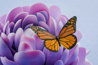 Premium Photo Ddcf99e55d5d Wallpaper