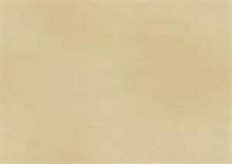 Gallery For Plain Tan Background