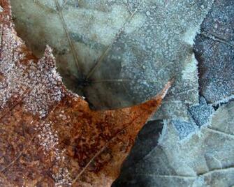 Wallpaper Winter Is Coming Nature Picsfab Desktop