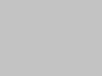 Solid Gray Background By Junior Libby