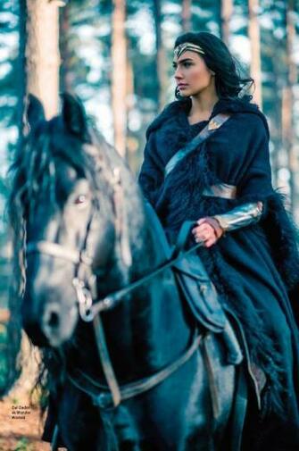 Gal Gadot Image As Diana Prince In Wonder Woman HD
